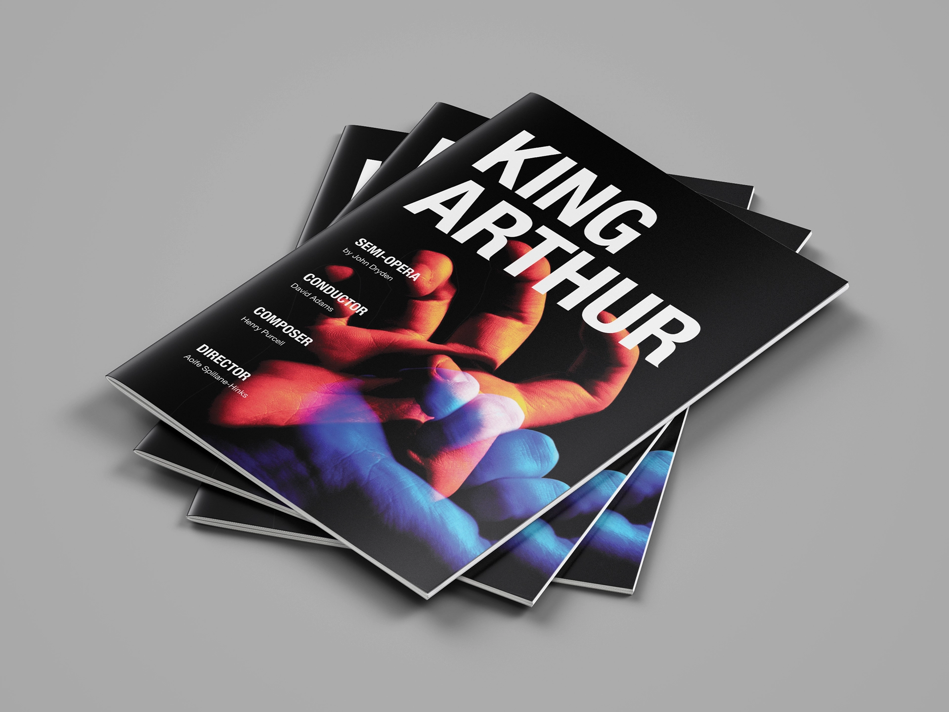 King Arthur Programme